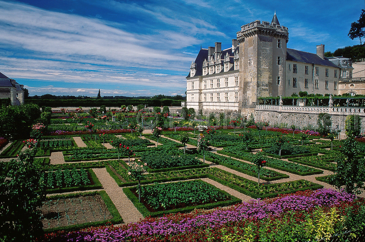 Villandry Castle and Botanical Gardens, Loire Valley, France
 (cod:France 22)